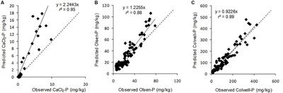 Modelling Changes in Soil Phosphorus When Phosphorus Fertiliser Is Reduced or Ceases